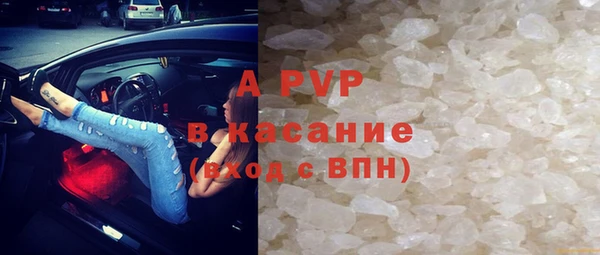 шишки Рославль