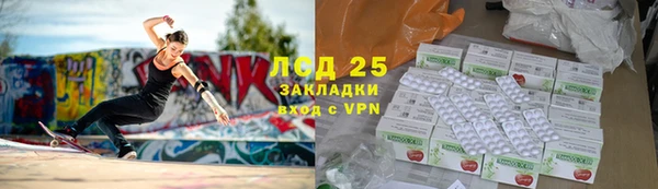 ГАЛЛЮЦИНОГЕННЫЕ ГРИБЫ Ростов