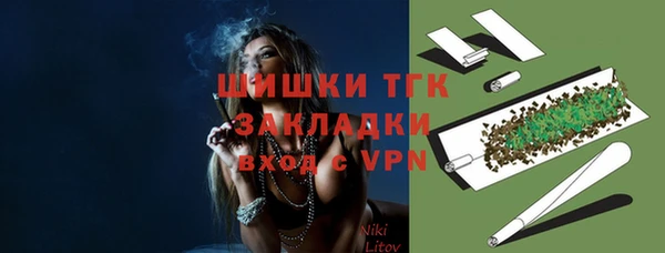 хмурый Россошь