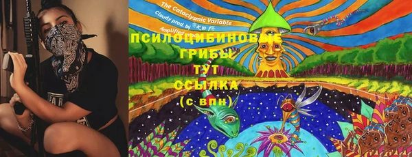 спиды Абинск
