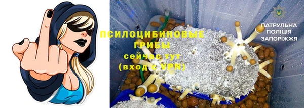 хмурый Россошь