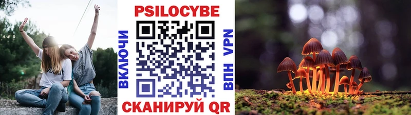 Галлюциногенные грибы MAGIC MUSHROOMS Новотроицк