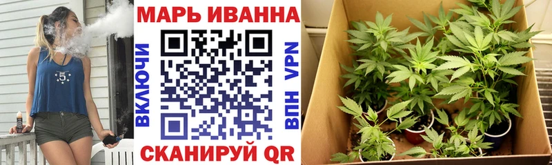 цена наркотик Новотроицк Марихуана сатива